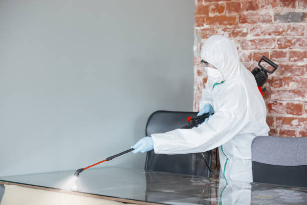 Best Attic Mold Removal in Green Meadows, OH